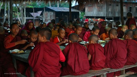 20191125__00259-15 Monastère de Phaya Taung, le petit déjeuner des novices (garçons en tenue safran et filles en tenue rose)